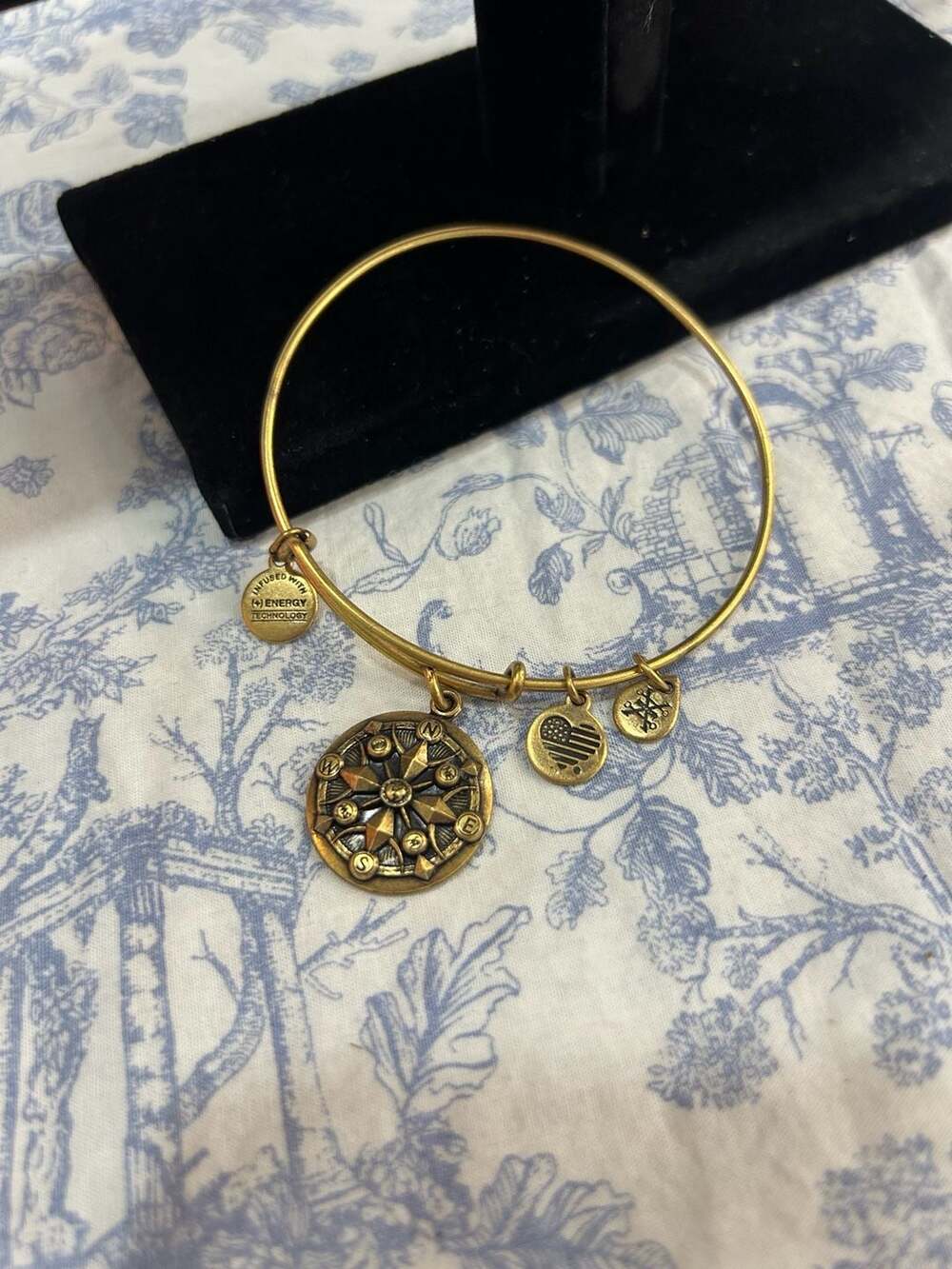 Alex and Ani Compass Expandable Wire Bangle Bracelet Rafaelian Gold Finish